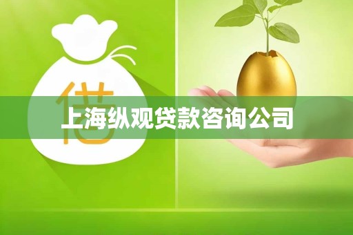 上海纵观贷款咨询公司